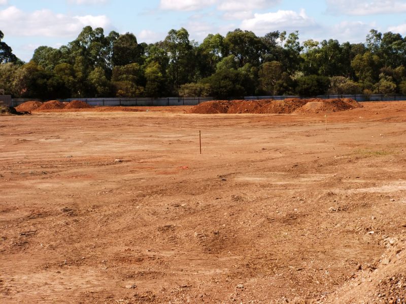 Backfilling Service in Cumming, GA