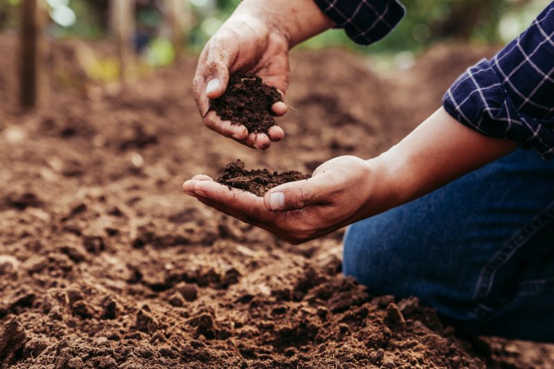 Earthwork Service in Gwinnett County, GA