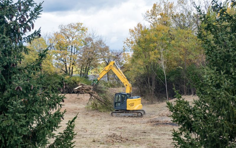 Land Excavation in Conroe, TX