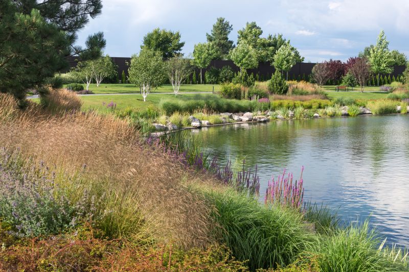Pond Excavation in Katy, TX