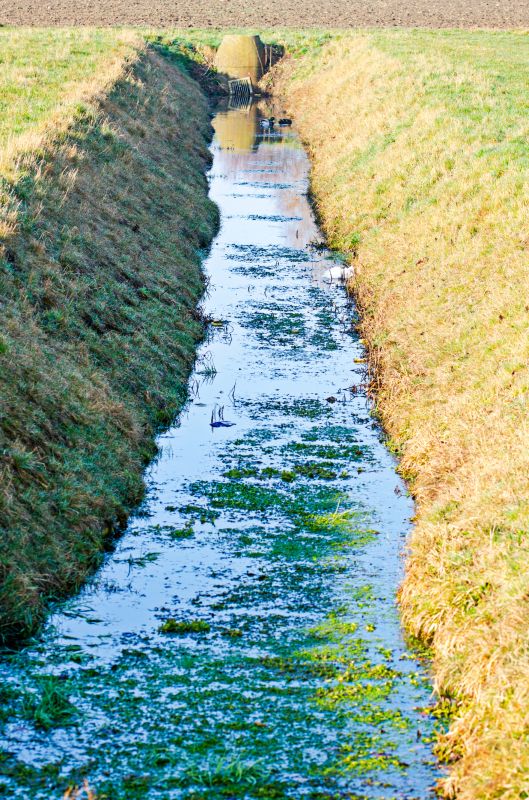 Ditch Repair in Utah County, UT